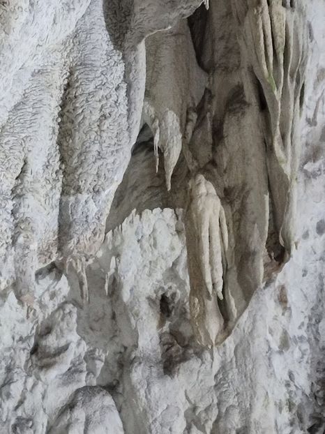  - 2022- excursie 9 aprilie