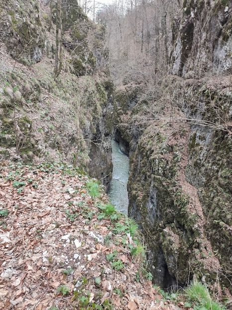  - 2022- excursie 9 aprilie