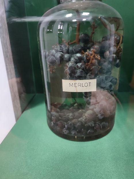  - 2022 - excursie 10 aprilie