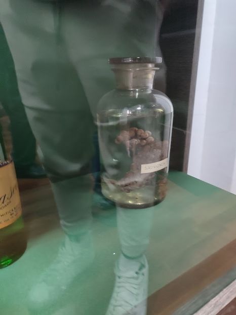  - 2022 - excursie 10 aprilie