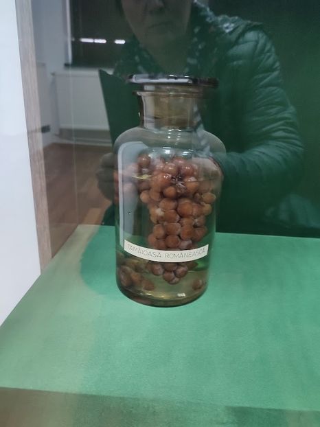  - 2022 - excursie 10 aprilie