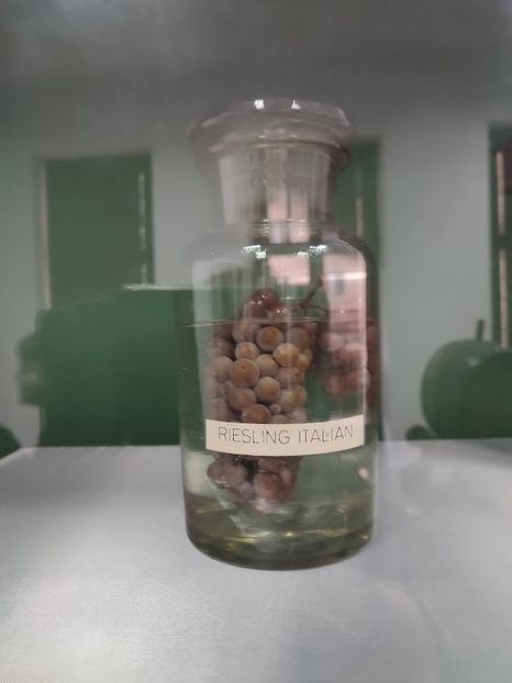  - 2022 - excursie 10 aprilie