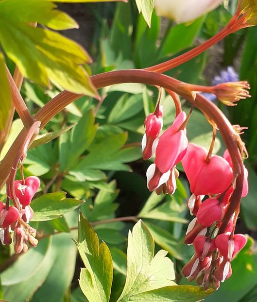 20220414_081744(0) - APRILIE