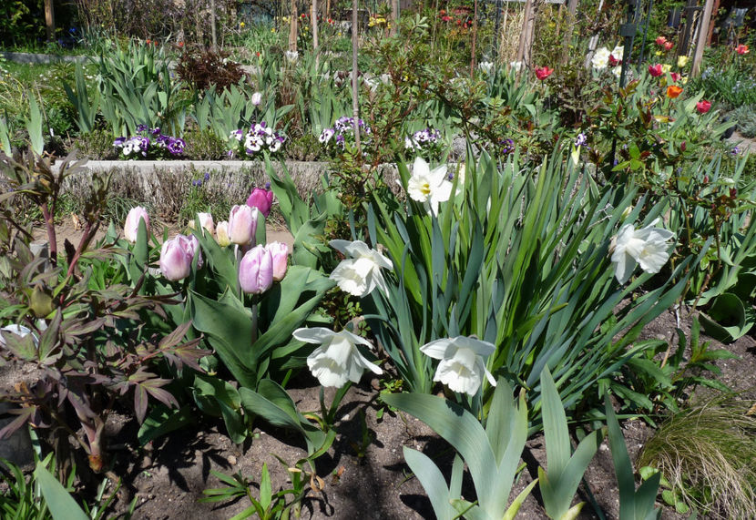  - 2022 - 01 - Primavara