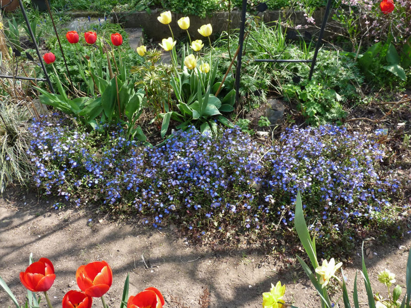  - 2022 - 01 - Primavara