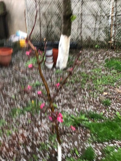 WhatsApp Image 2022-04-25 at 16.40.23 (16) - 01 25 04 2022 A doua zi de PASTE