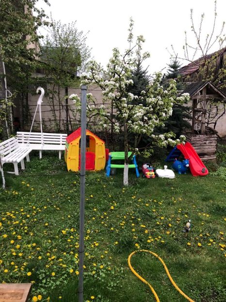 WhatsApp Image 2022-04-25 at 17.02.29 (3) - 01 25 04 2022 A doua zi de PASTE