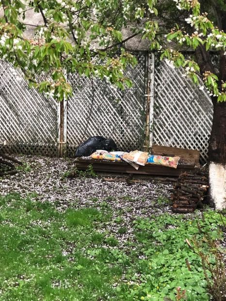 WhatsApp Image 2022-04-25 at 17.02.29 (6) - 01 25 04 2022 A doua zi de PASTE