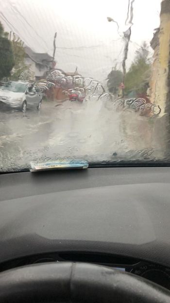 WhatsApp Image 2022-04-25 at 17.02.29 (10) - 01 25 04 2022 A doua zi de PASTE