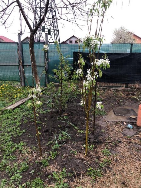 WhatsApp Image 2022-04-25 at 17.02.29 (11) - 01 25 04 2022 A doua zi de PASTE