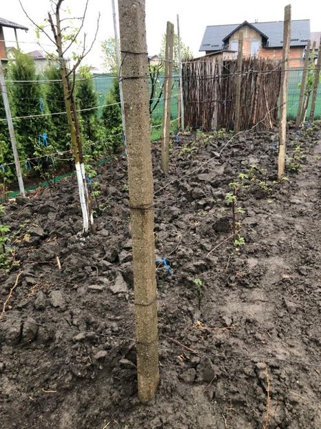 WhatsApp Image 2022-04-25 at 17.02.29 (13) - 01 25 04 2022 A doua zi de PASTE