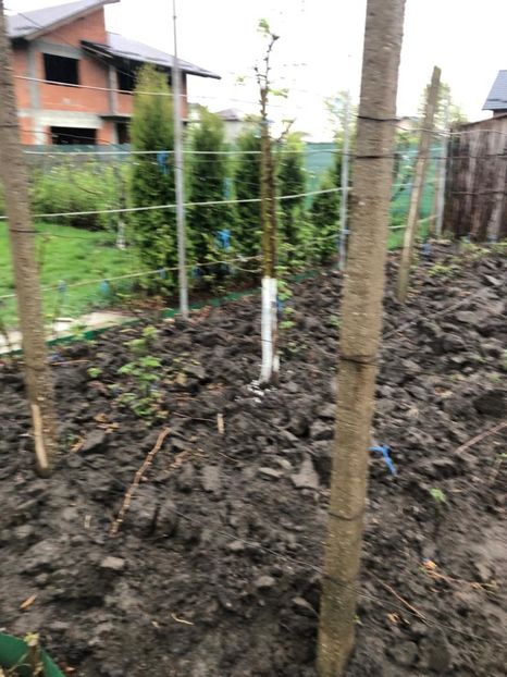 WhatsApp Image 2022-04-25 at 17.02.29 (14) - 01 25 04 2022 A doua zi de PASTE