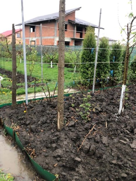 WhatsApp Image 2022-04-25 at 17.02.29 (15) - 01 25 04 2022 A doua zi de PASTE