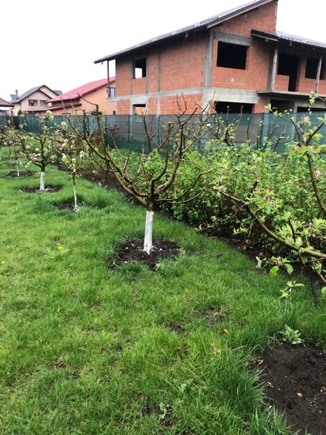 WhatsApp Image 2022-04-25 at 17.02.29 (20) - 01 25 04 2022 A doua zi de PASTE