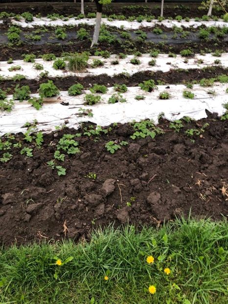 WhatsApp Image 2022-04-25 at 17.02.29 (21) - 01 25 04 2022 A doua zi de PASTE