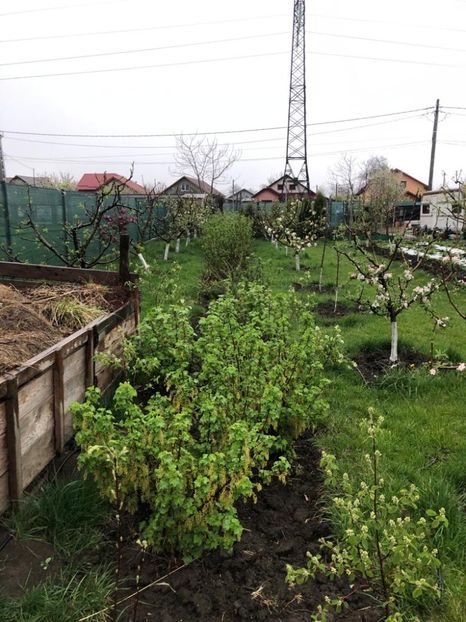 WhatsApp Image 2022-04-25 at 17.02.29 (22) - 01 25 04 2022 A doua zi de PASTE