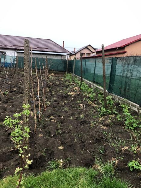 WhatsApp Image 2022-04-25 at 17.02.29 (23) - 01 25 04 2022 A doua zi de PASTE