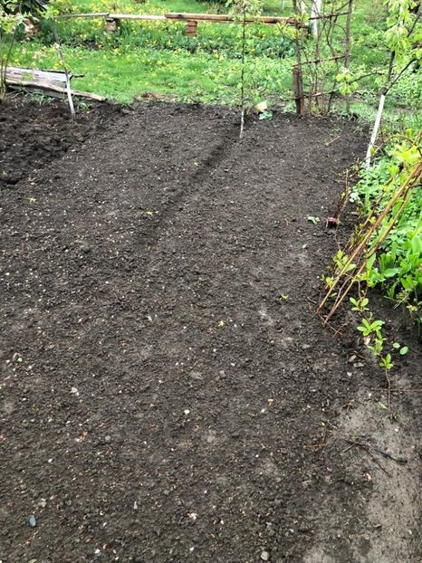 WhatsApp Image 2022-04-25 at 17.02.29 - 01 25 04 2022 A doua zi de PASTE