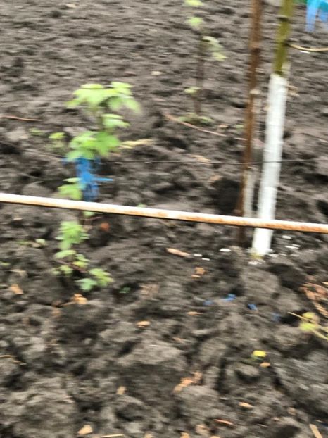 WhatsApp Image 2022-04-25 at 17.02.48 (6) - 01 25 04 2022 A doua zi de PASTE