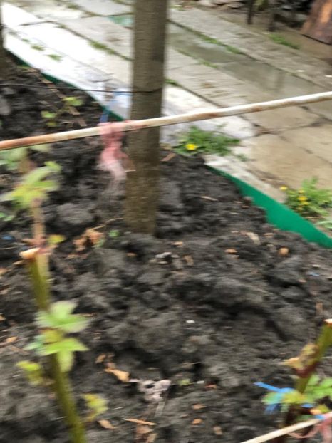 WhatsApp Image 2022-04-25 at 17.02.48 (8) - 01 25 04 2022 A doua zi de PASTE