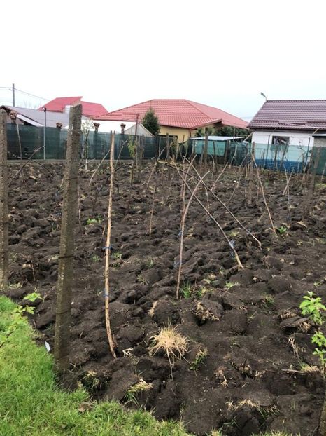 WhatsApp Image 2022-04-25 at 17.02.48 - 01 25 04 2022 A doua zi de PASTE