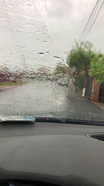 WhatsApp Image 2022-04-25 at 17.03.11 - 01 25 04 2022 A doua zi de PASTE