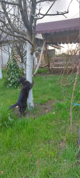 IMG-20220425-WA0016 - RIP Rufus