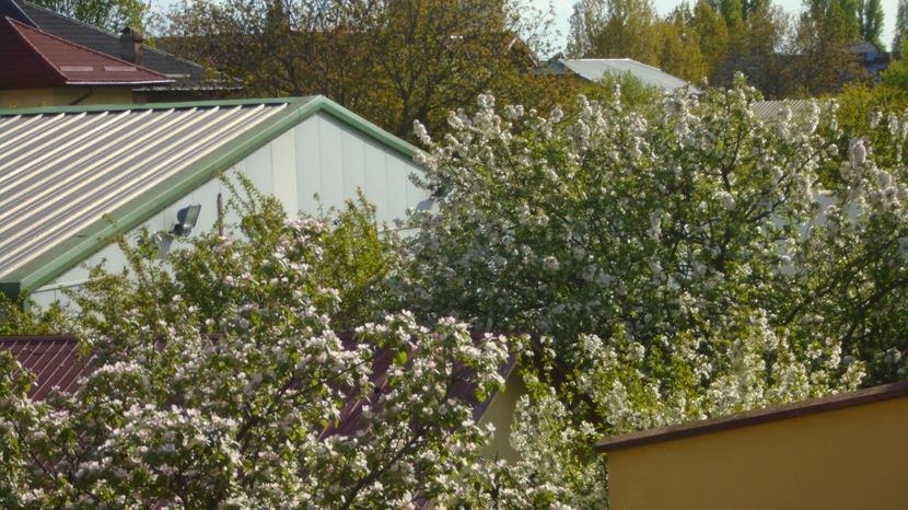  - Primavara 2021-2022-2023