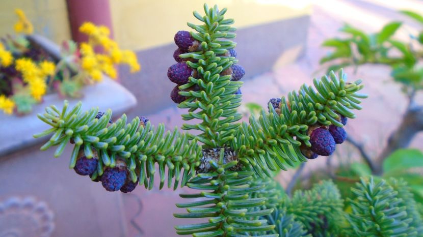  - Primavara 2021-2022-2023