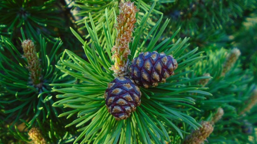  - Primavara 2021-2022-2023