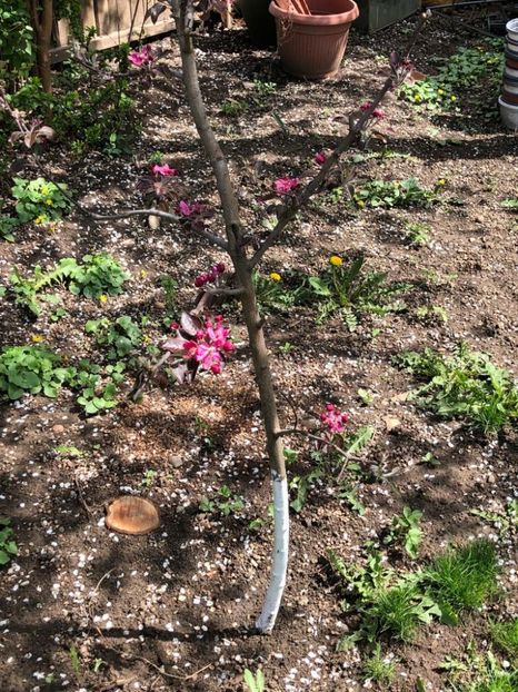 WhatsApp Image 2022-04-26 at 16.31.41 (1) - 02 26 04 2022 a treia zi de PASTE