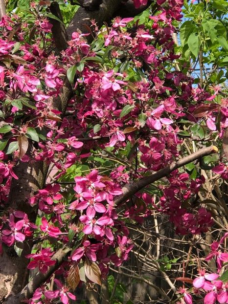 WhatsApp Image 2022-04-26 at 16.31.41 (7) - 02 26 04 2022 a treia zi de PASTE