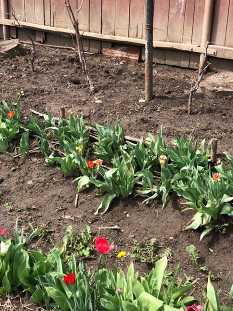 WhatsApp Image 2022-04-26 at 16.31.41 (13) - 02 26 04 2022 a treia zi de PASTE