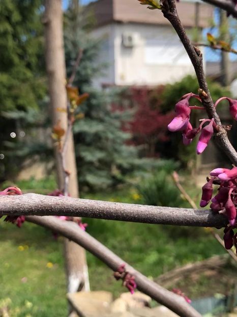 WhatsApp Image 2022-04-26 at 16.31.41 (17) - 02 26 04 2022 a treia zi de PASTE