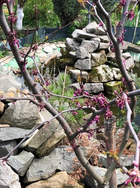 WhatsApp Image 2022-04-26 at 16.31.41 (19) - 02 26 04 2022 a treia zi de PASTE