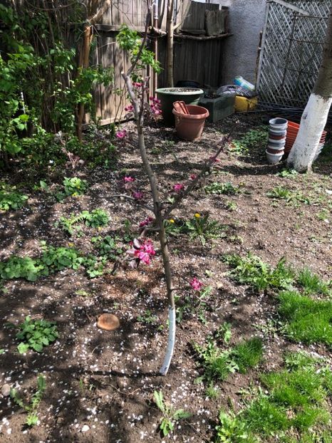 WhatsApp Image 2022-04-26 at 16.31.41 - 02 26 04 2022 a treia zi de PASTE