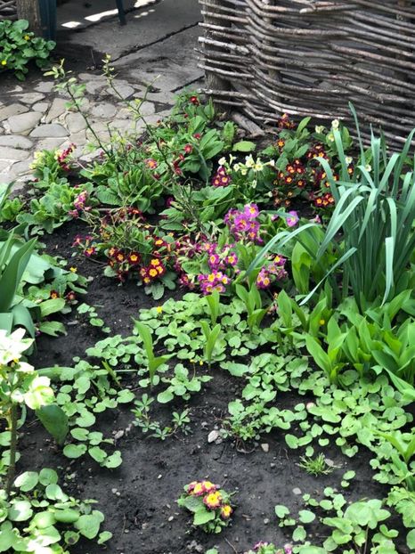 WhatsApp Image 2022-04-26 at 16.32.14 (1) - 02 26 04 2022 a treia zi de PASTE