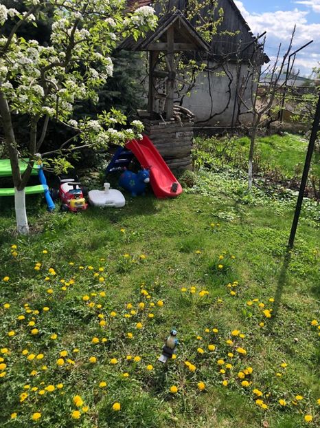 WhatsApp Image 2022-04-26 at 16.32.14 (7) - 02 26 04 2022 a treia zi de PASTE