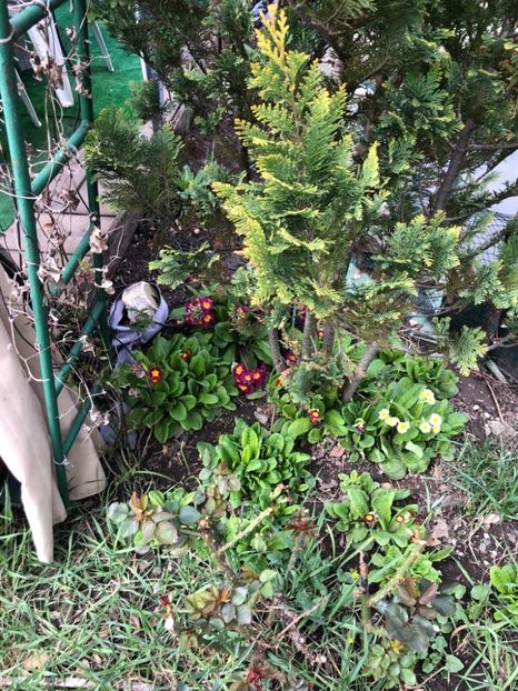 WhatsApp Image 2022-04-26 at 16.32.14 (10) - 02 26 04 2022 a treia zi de PASTE