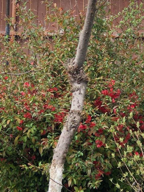 WhatsApp Image 2022-04-26 at 16.32.14 (13) - 02 26 04 2022 a treia zi de PASTE