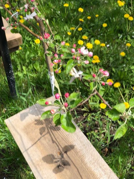 WhatsApp Image 2022-04-26 at 16.32.14 (14) - 02 26 04 2022 a treia zi de PASTE