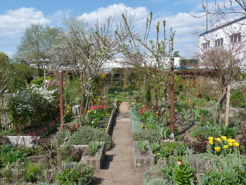  - 2022 - 01 - Primavara