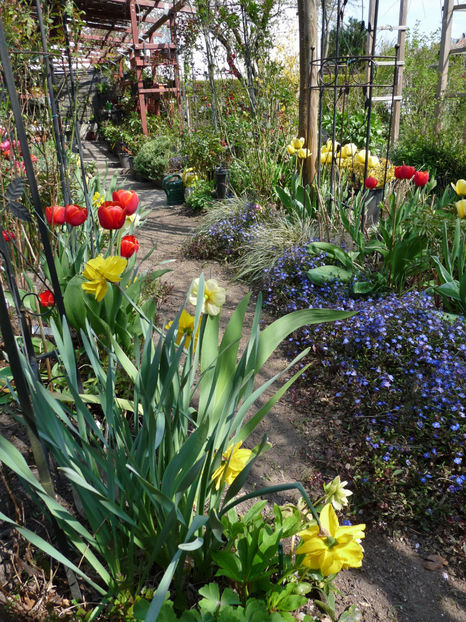  - 2022 - 01 - Primavara