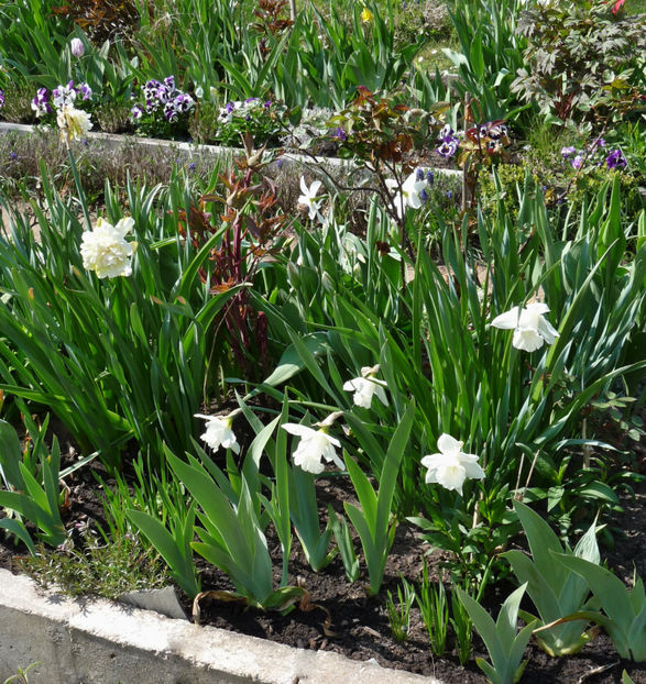  - 2022 - 01 - Primavara