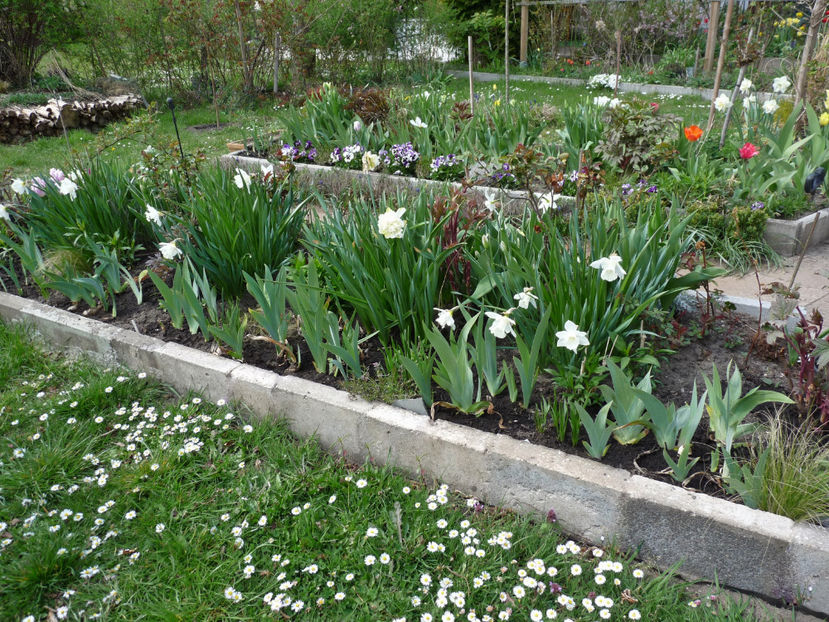  - 2022 - 01 - Primavara