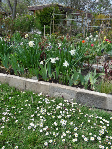  - 2022 - 01 - Primavara