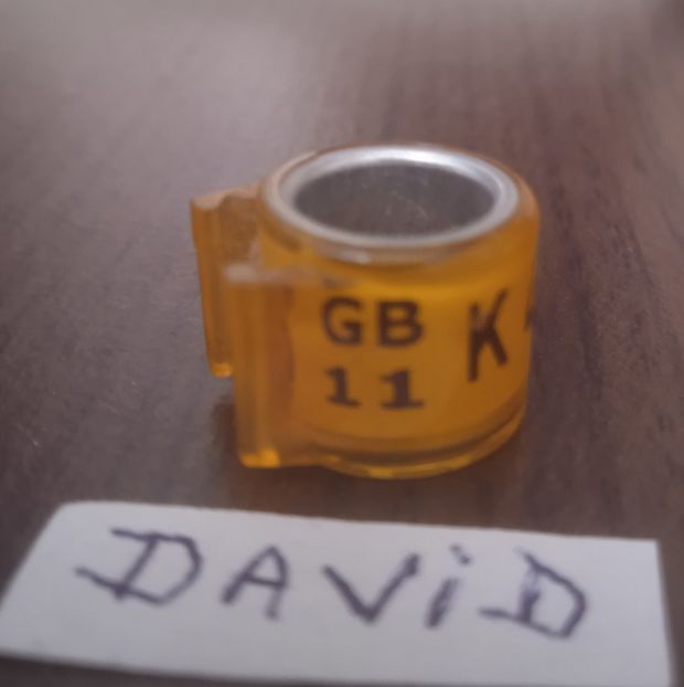 2011-MAREA BRITANIE - Marea Britanie