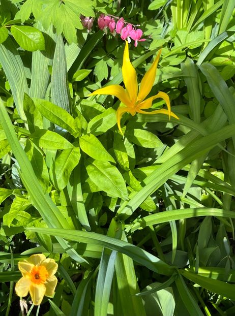 811026FE-E178-4CD6-8358-158D09391F56 - Lalele 22 23