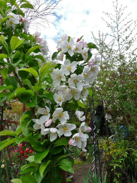  - 2022 - 01 - Primavara