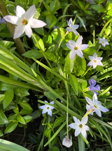 0E600EAC-4249-405F-BDA5-82B5AB1E186A - Narcise 2019 2022 25